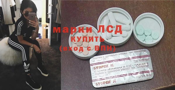 гидра Дмитров