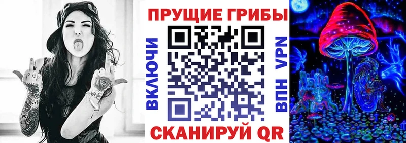 Галлюциногенные грибы Psilocybine cubensis shop клад Бор где купить