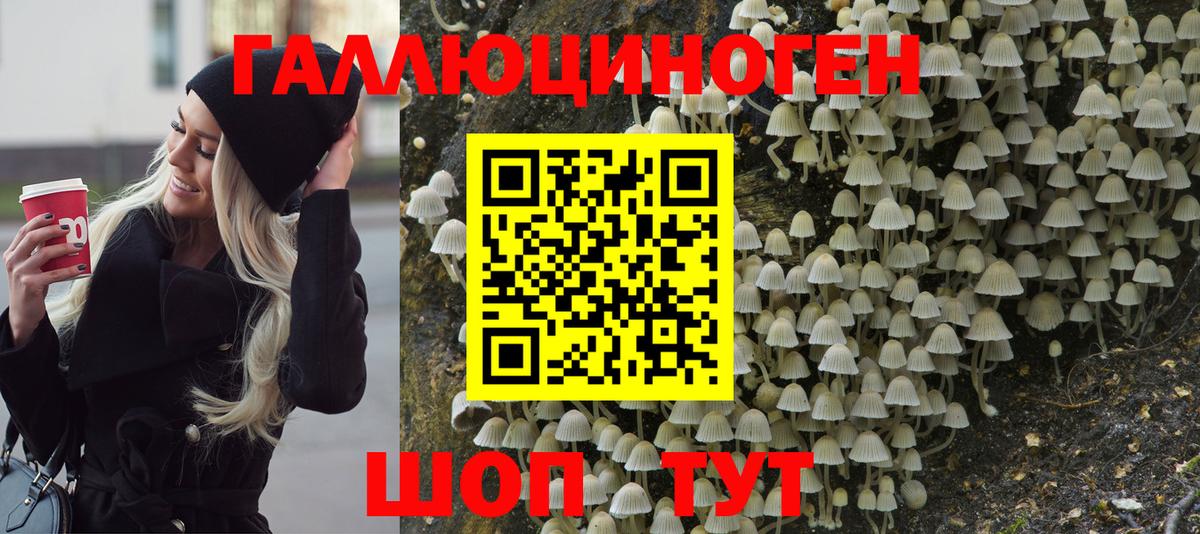 Галлюциногенные грибы прущие грибы Бор