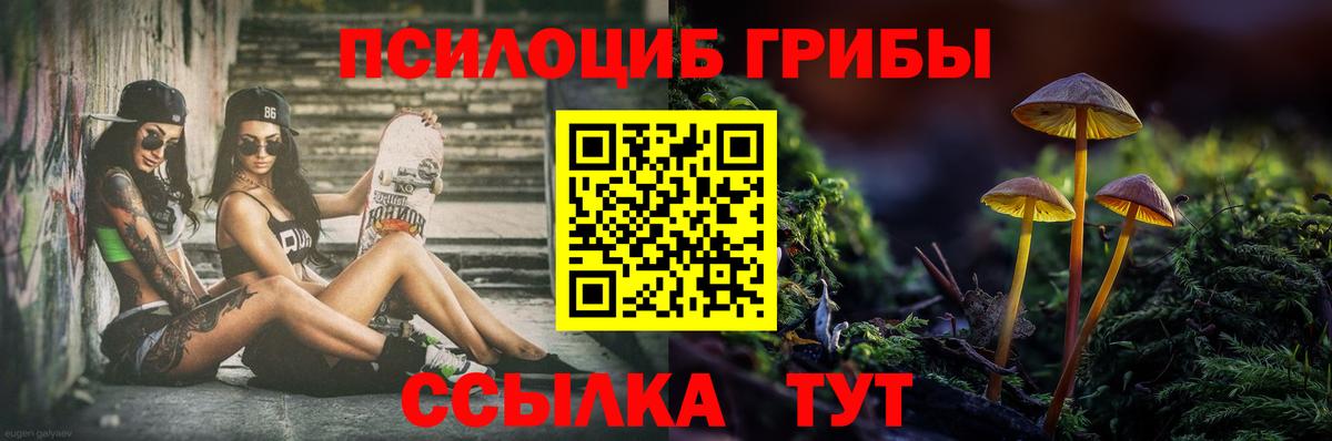 Галлюциногенные грибы прущие грибы  Вход с VPN  Галлюциногенные грибы мухоморы  Бор 